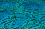 Grande barrière de corail