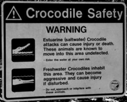 Attention, crocodiles !